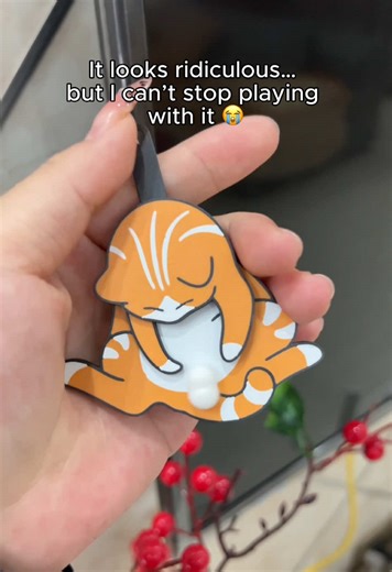 Fidget toys,cat keychain #fidgets #keychain #cattoy #cat #funny | fidget keychain