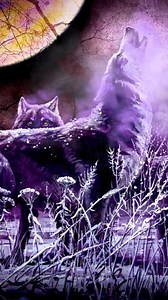 Wolves. 8/2. 🖤🐺🖤 | The Spill Canvas