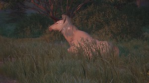 How to Get Stallion Locks in Infinity Nikki