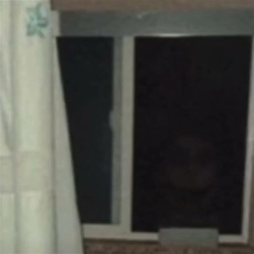 Pandora’s box Fnf out