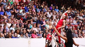 29 reactions · 5 comments | If you love horses, Fantasia is the must-see show of your year! Tickets for Equine Affaire's musical celebration of the horse, sponsored by Absorbine, go on sale July 12. The show returns to the Eastern States Exposition on November 9th, 10th, and 11th! | Equine Affaire, Inc. (Official) | Facebook