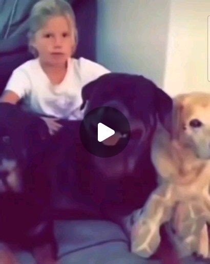 bearpupuppy on Instagram: "🌧"