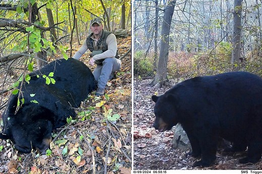 NJ hunter kills 770-pound black bear, setting state record: ‘Smartest animal I’ve chased’