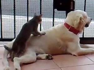 Free massage .... | Humour pics