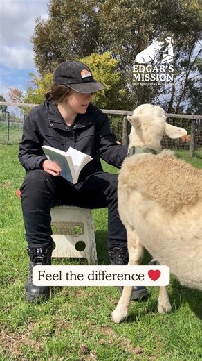 13K views · 750 reactions | Connect with your community. In times of...