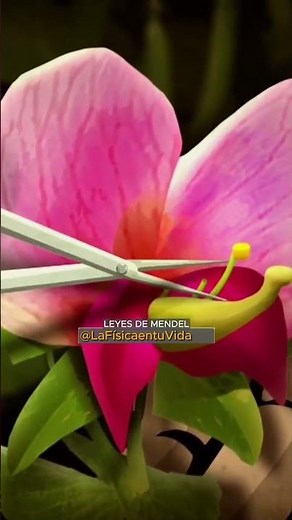 Las Leyes de Mendel Parte 1 🌱🧬 | El origen de la genética #física #ciencia #ingenieria #cosmos