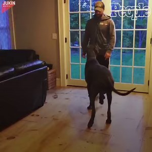 Friends who work out together are the best kinds. | People