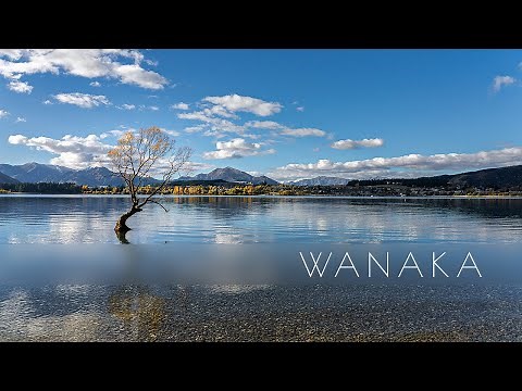 Autumn Walk Around Wanaka, New Zealand | The Home of #ThatWanakaTree [Binaural 4K]