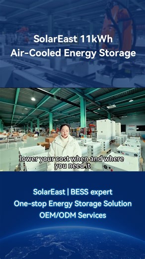 Mobile Backup Power Made for You | SolarEast 11kWh Air-Cooled Energy Storage Pack #solareastbess
