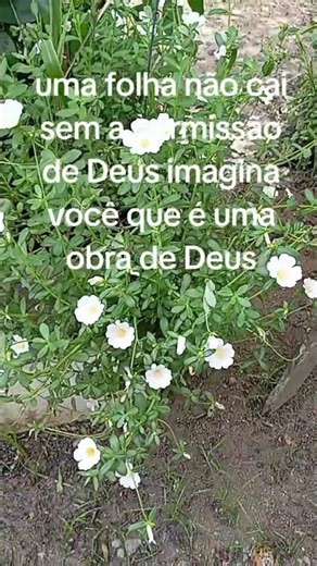 You are a work of God #GodHasAWordForYou 🙏