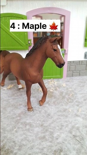 5 favorite Schleich horses 🐴 || Grayci Grayci
