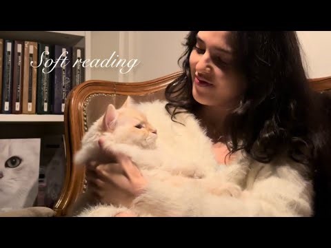 Alice’s Adventures in Wonderland — Chapter 7