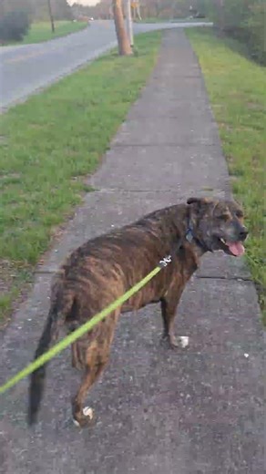 Ath we na doing the time warp with Dad! #love