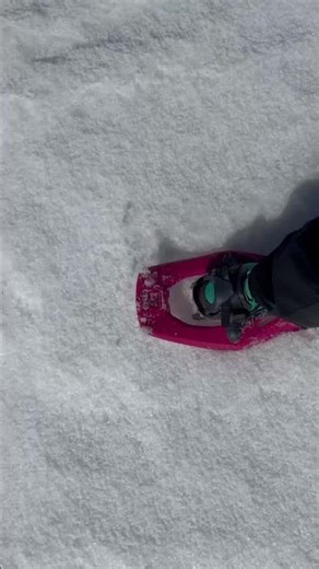 Satisfying two Paths in Snow ❄️ | Winter Steps