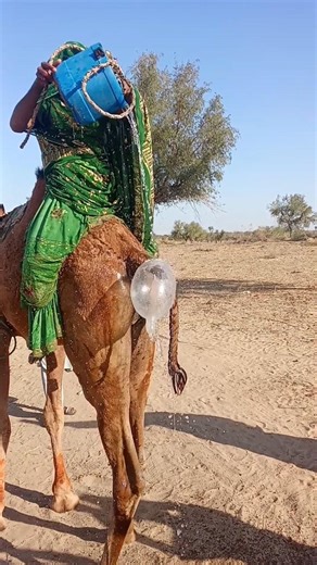 نُورٌ يَنْسَابُ بِهُدُوء