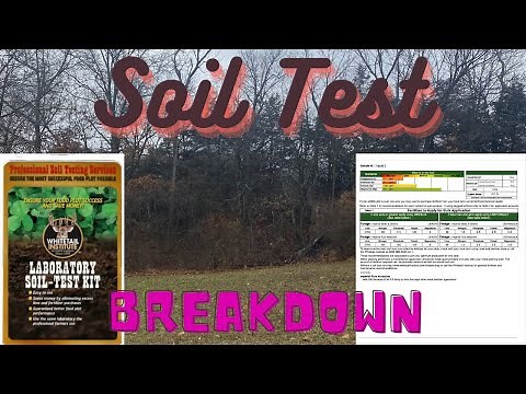 How to Soil Test | Soil Test Results Explained