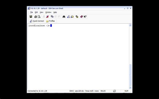 Linux服务器架设