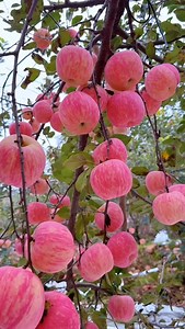 77K views · 11K reactions | So Beautiful ❤️ nature  ☘️... . . . . #naturelover #naturephotography #naturelovers photography landscape photooftheday perfection travel travelphotography wildlife love flowersig sunset landscapephotography tinstagood photo macro beautiful picoftheday mountains sky birds hiking instagram photographer naturephoto forest wanderluster | nature care | Facebook