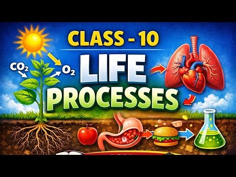 Class - 10 | Life Processes | #class10science | #class10th |