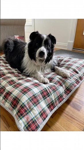 How To Bind A Denim Quilt with Mitered Corners #shorts #janhowell