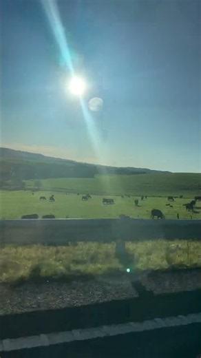 Tasmania Is Pure Magic | A Road Trip Through Paradise! ✨