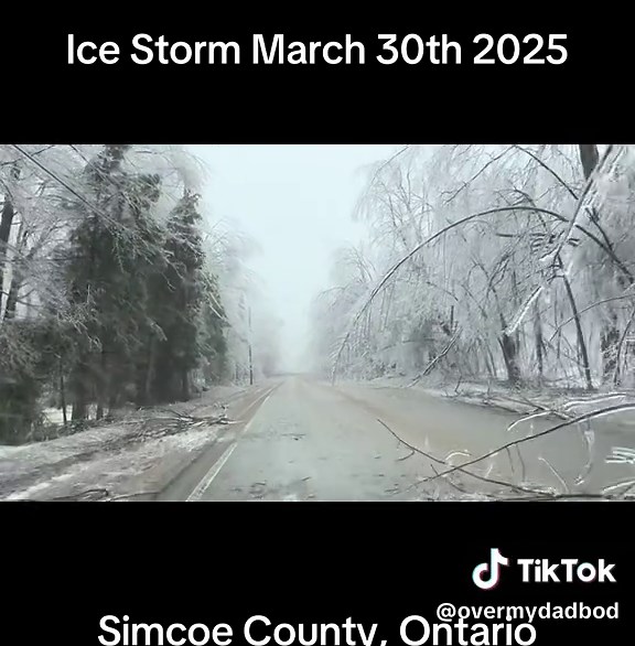 Ice Storm in Simcoe County, Ontario - March 30, 2025