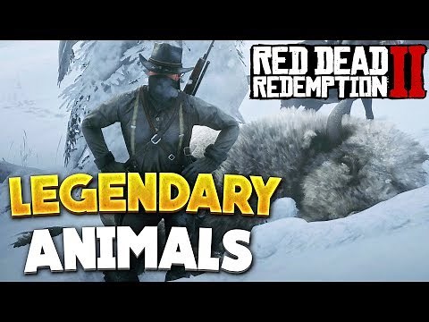Red Dead Redemption 2 All Legendary Animals Locations! RDR2
