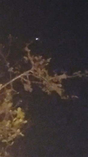 2.2K views · 13 reactions | Anyone notice the drone flying over Greenforest lastnight? | Robert Viator | Facebook