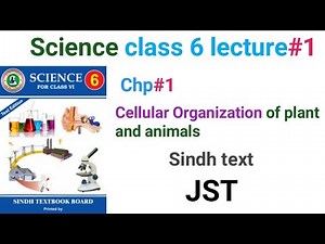 Science class 6 chapter 1 sindh text book board jamshoro #Jst #sindhtextbookboard #iba