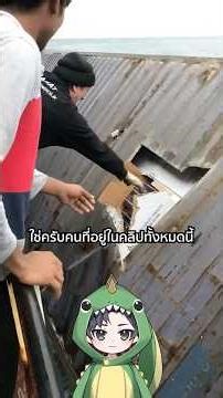 Container in the middle of the sea | TOGE トゲ