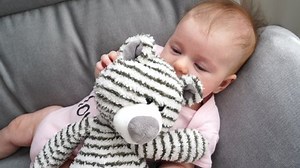 Baby Girl Crying Screaminggray Teddy Bear Stock Footage Video (100% Royalty-free) 1088180095 | Shutterstock
