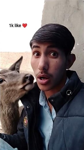 AI Explained: From Zero to Hero in 60 Seconds!