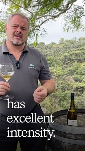 Tasting Gerd Stepp's Surprising Standout Chardonnay - 92/100 - Gerd Stepp Pfalz Chardonnay 2021