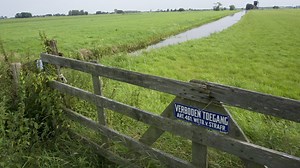 Governance and sustainable behaviour