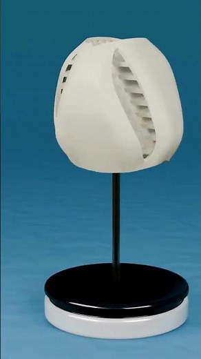 The Wind Generator That Catches Wind From Any Direction!