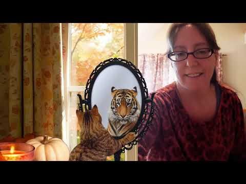 Jumping Jacks Challenge Day 5 -- Cardio Workout