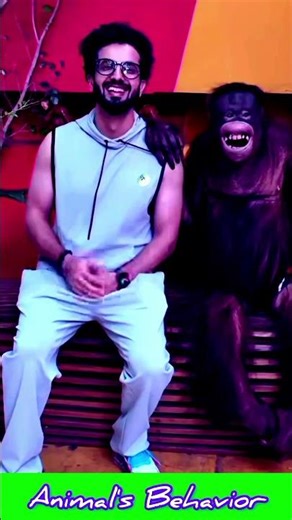 Animal's Behaviour #shortvideo #animals #short