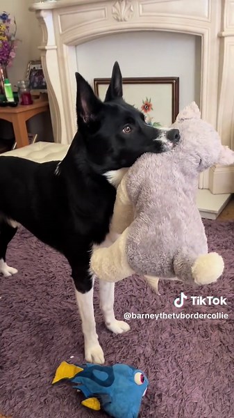 Barney watching Harry Potter#react #reaction #harrypotter