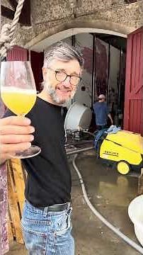 Comment fait-on du #vinblanc ? Etapes clés de notre 1er #vin blanc #vinbio ‪@chateauanthonic‬ #wine