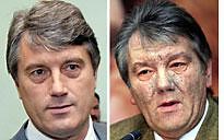 What is dioxin, anyway?