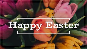 42 reactions · 16 comments | From all of us at Pala Casino, we wish you and your families a happy Easter, and a spring season filled with much health and joy. ❤️ | Pala Casino Spa Resort | Facebook