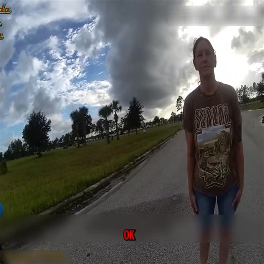 5.2K views · 67 reactions | Florida Woman’s DUI Stop Takes an Unexpected Turn  On September 29th, 2025, deputies with the Flagler County Sheriff’s Office pulled over a woman suspected of driving under the influence. What started as a simple stop quickly revealed just how intoxicated she was — leading to an arrest that perfectly sums up “Florida Woman” energy. #FloridaWoman #DUIArrest #BodyCamFootage #FlaglerCounty #PoliceStop | Danielle | Facebook