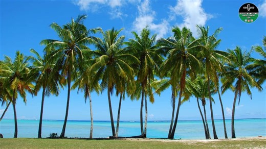 Auaunaga #14 O Le Afiafi Fofogaina E Le Susuga Tuilaepa Faafetai Li'o Su'a. Talanoaina O Mataupu Eseese Ma Nisi O Tala Mai Samoa. Faatalanoaga Ma Le Paaga Masani A Le Polokalame, Le Tofa Moafanua Tupa'i Marchetta Sanft Levi (National Data Specialist @ Department Of Statistics NZ / Political Analyst.). O Loo Asiasi Mai Le Tatou Polokalame I Aotearoa Nei E Asia Aiga Ma Uo. Manuia Lau Faafofogaaga Samoa. | SOTF Radio Samoa LIVE Broadcast