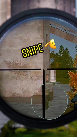 Ultimate DayZ Sniping Compilation at NWAF