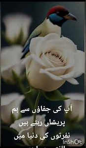urdu# poetry#########muskurate chere se bazm e dil saja dije