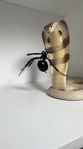 “Gecko vs Snake – A High-Stakes Survival Clash!” This intense image captures the shocking moment a gecko comes face-to-face with a snake in a sudden wild confrontation, where every second decides survival—nature’s raw fear and instinct frozen in one dramatic frame. AI Generated Visual. #GeckoVsSnake #WildlifeBattle #NatureClash #ReptileFight #PredatorVsPrey | Insect Planet