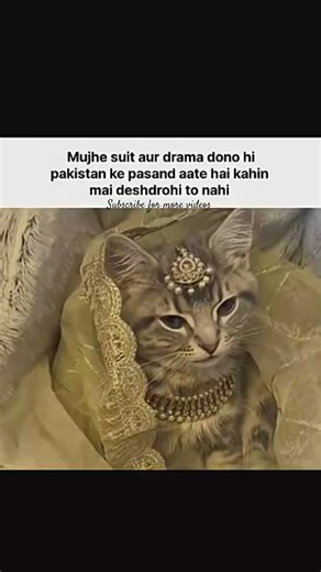 hehehehe...😂😂#cat #memes #relatable #viral #funny #comedy#shorts