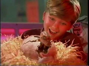 Universal Studios Florida Promo VHS Tape 1999 Featuring Barney | Lost Media Barney