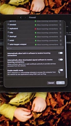 Enable Mac Firewall in 41 Seconds 🔥 Protect Your Mac from Hackers #shorts