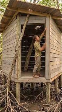Hidden Off-Grid Hut in the Mangrove Swamps! [Time-Lapse]